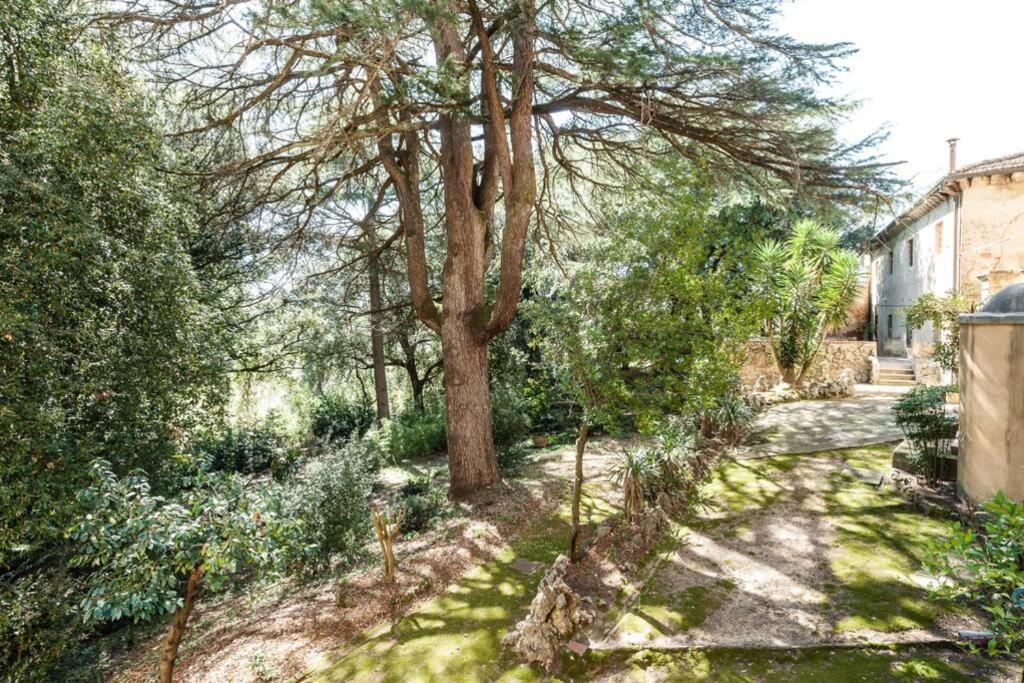 Villa Ott Crespina Zewnętrze zdjęcie